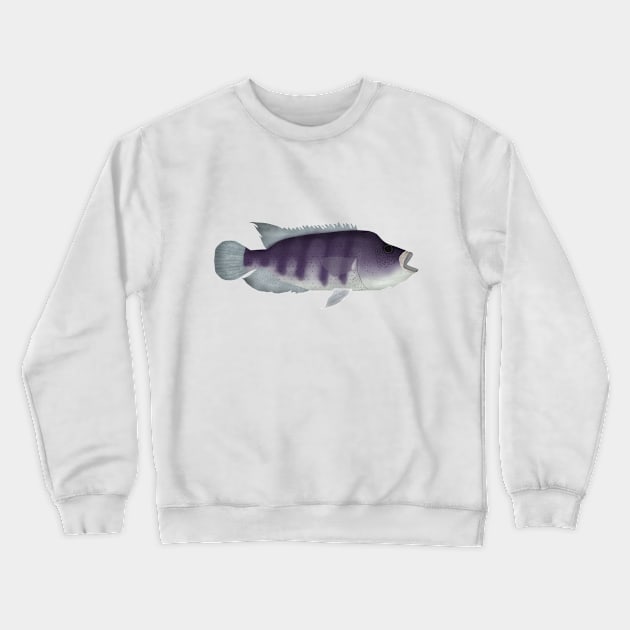 Wolf Cichlid Crewneck Sweatshirt by FishFolkArt